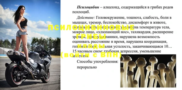 прущие крисы Алексеевка