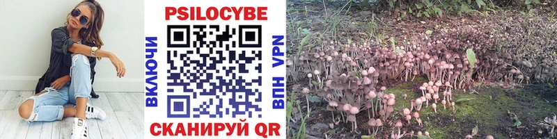 наркота  Камешково  KRAKEN вход  Псилоцибиновые грибы Psilocybe 